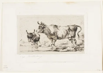 La vaca y el asno