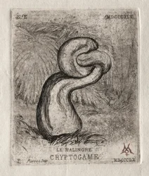 El criptógamo enfermizo, 1860