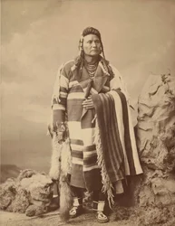 Hinmatóowyalahtq’it Jefe Joseph, 1879