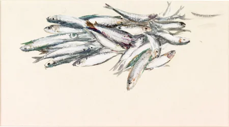 Estudio de peces