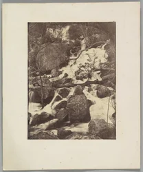 [Árboles y cascadas]