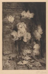 Estudio de rosas