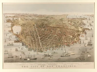 La ciudad de San Francisco - Pájaro