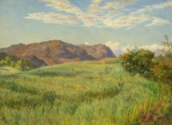 Un Campo de Avena en las Tierras Altas