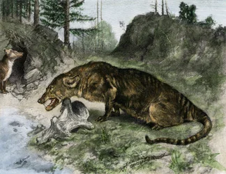 Prehistoria: un mesónice a orillas del lago Uintah en Utah y Wyoming (EE.UU.) (grabado)