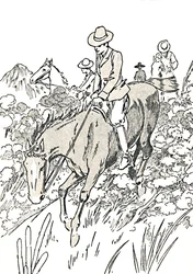 La mayoría de estos animales son cazados, 1912