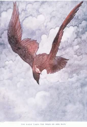 El águila lleva al chochín en su espalda