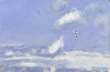 Alcatraz y nubes, 2016 (óleo sobre lienzo)