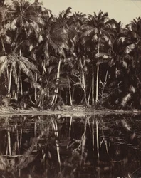 Tetiaroa - Un lagón de los Paumotu, 1880s o 1890s