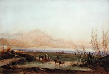 La Bahía de los Ángeles, Niza