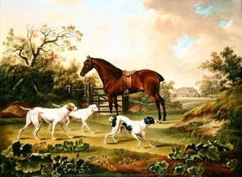 Un Cazador Bay y Tres Punteros en un Paisaje con Lyston Hall al Fondo