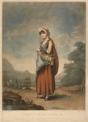 La vendedora ambulante