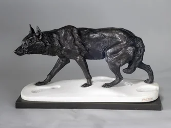 Rastreo de lobos en la nieve
