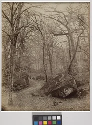 Fontainebleau, c.1870 (impresión a la albúmina)