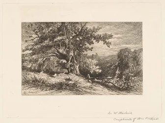 Paisaje con árbol caído