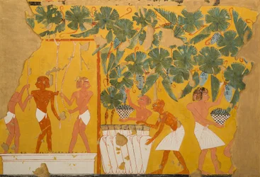 Elaboración de vino, Tumba de Ipuy