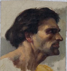 Estudio de una cabeza