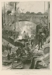 Fruta de los trópicos