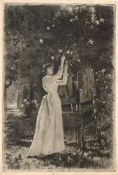 una mujer joven recogiendo flores de un árbol