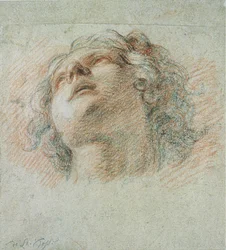 Cabeza de un Joven, vista desde abajo