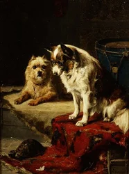Perros y una tortuga
