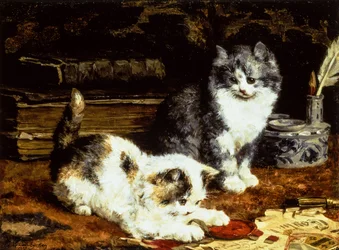 dos gatitos jugando en un escritorio