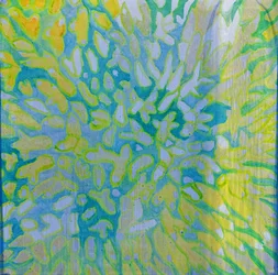 Acrapora, 2000