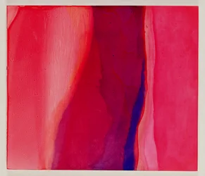 Peces Sari, 2000