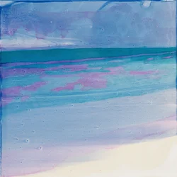 Playa de tortugas, 2000