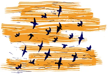 Pájaros volando, 2020