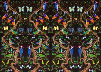 Aves y mariposas, 2019