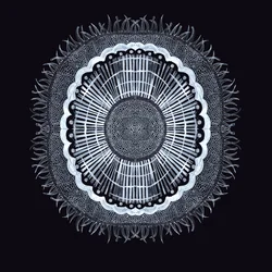 Célula Vegetal 0.2, 2019
