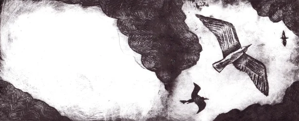El cuento de la gaviota, 2012