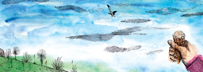 El cuento de la gaviota