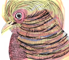 Pájaro tropical, 2018