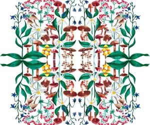 Plantas Silvestres, 2015