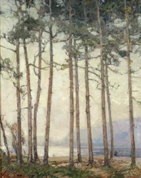 Lago Fantasma (petróleo)