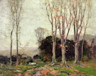 El camino de las montañas