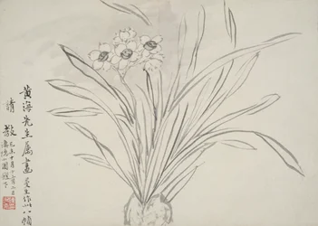Álbum de Flores