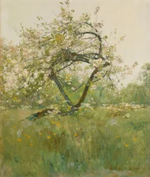 Flores de melocotón, Villiers-le-Bel