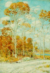 El nido del halcón