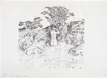 Cerezo silvestre