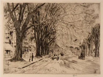 Olmos de Easthampton en mayo