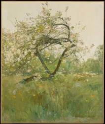 Flores de durazno—Villiers-le-Bel