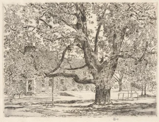 El gran árbol de castaño de Indias, Easthampton