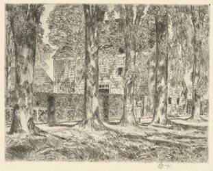 Olmos del pueblo, 1923