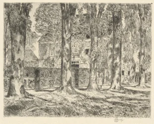 Olmos del pueblo, 1923