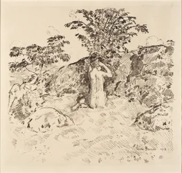 Cerezo silvestre