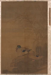 Patos bajo juncos