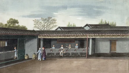 Secado de hojas de té